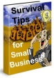 Survival Tips For Small Business