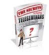The Secrets To Hosting Successful Teleseminars
