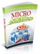 The Beginner's Guide To Micro Niches