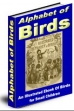 Alphabet Of Birds