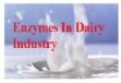 Enzymes In Dairy Industry