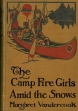 The Camp Fire Girls Amid The Snows