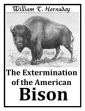 The Extermination Of The American Bison