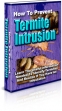How To Prevent Termite Intrusion