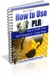 How To Use PLR