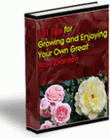 101 Tips For Growing And Enjoying Your Own Great Rose Garden