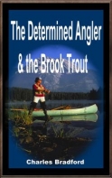 The Determined Angler And The Brook Trout
