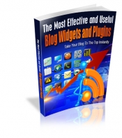 The Most Effective And Useful Blog Widgets And Plugins