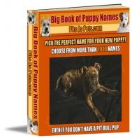 Big Book Of Puppy Names