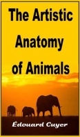 The Artistic Anatomy Of Animals