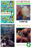 Tropical Fish Care Package