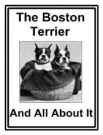 The Boston Terrier And All About It
