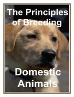 The Principles Of Breeding Domestic Animals
